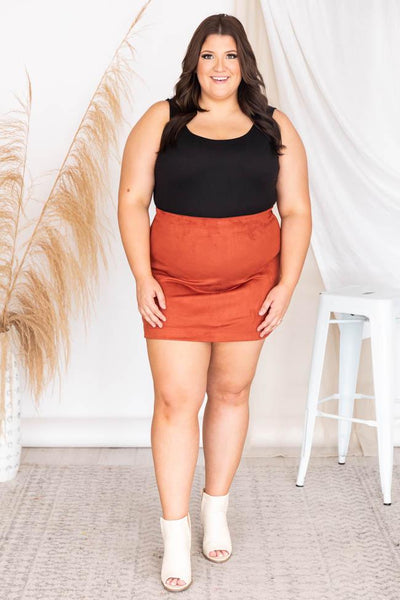 Beautiful Sound Brick A-Line Suede Skirt