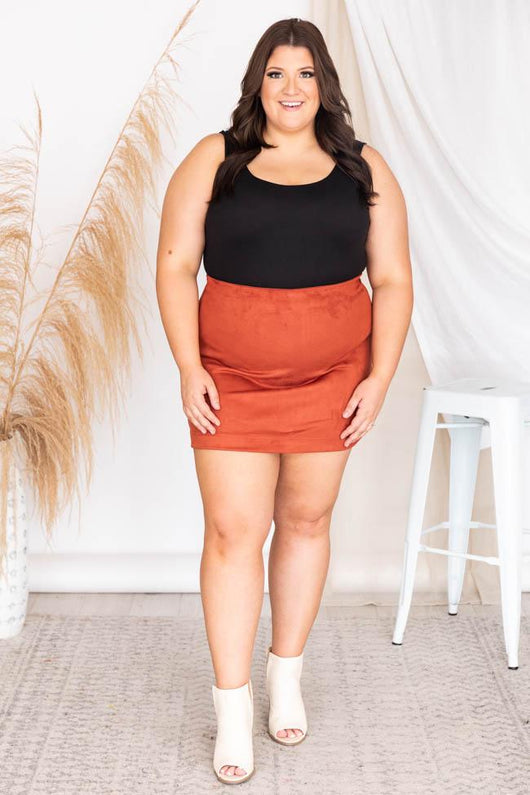 Beautiful Sound Brick A-Line Suede Skirt