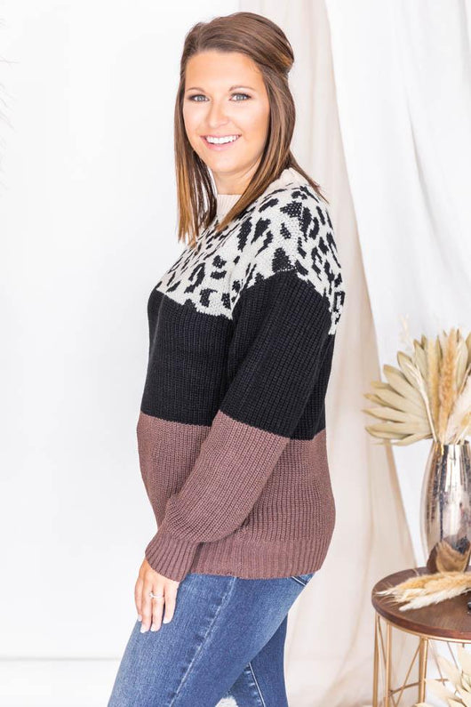 Won't Leave You Brown Animal Print Colorblock Sweater