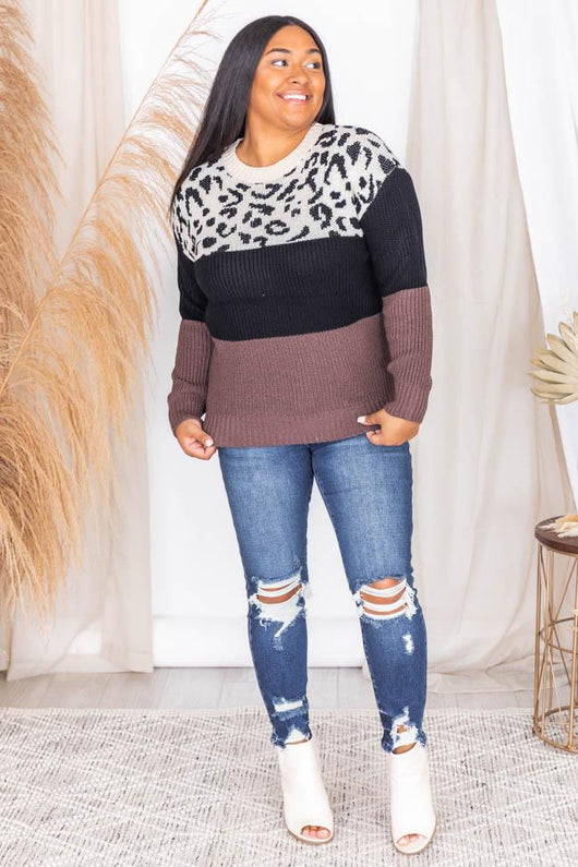Won't Leave You Brown Animal Print Colorblock Sweater